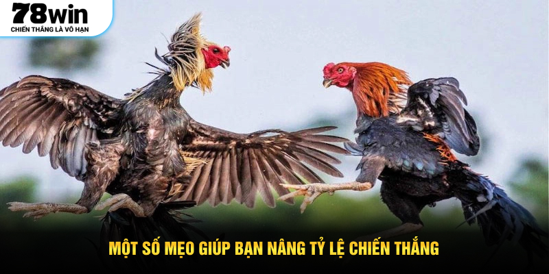 Một số mẹo giúp bạn nâng tỷ lệ chiến thắng